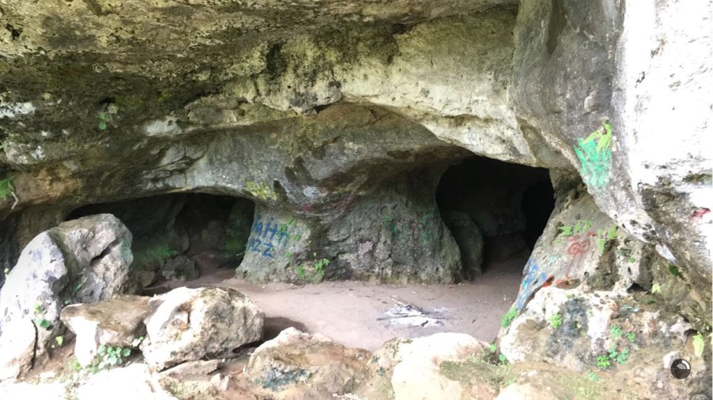 chelsie. tweet media