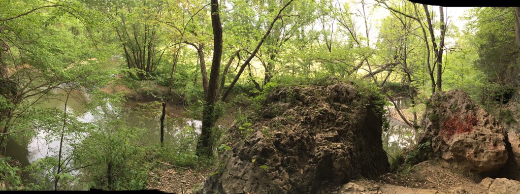 chelsie. tweet media