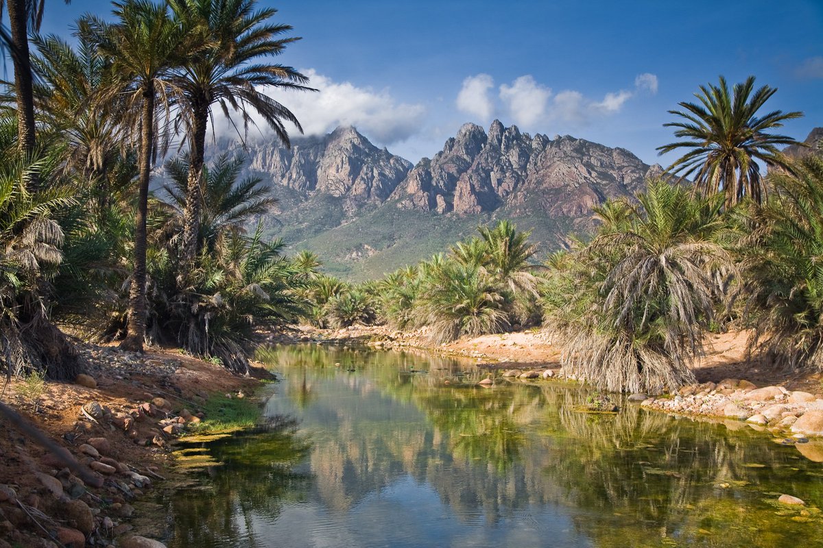 Guide_To_Travel's tweet image. Socotra, Yemen.