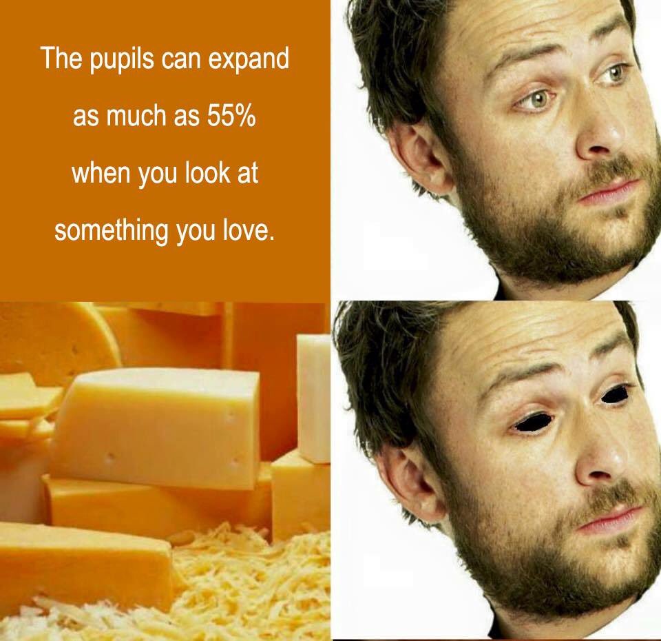CheeseismyBF's tweet photo. So much #love for #cheese ❤️ https://t.co/44H5BXl199
