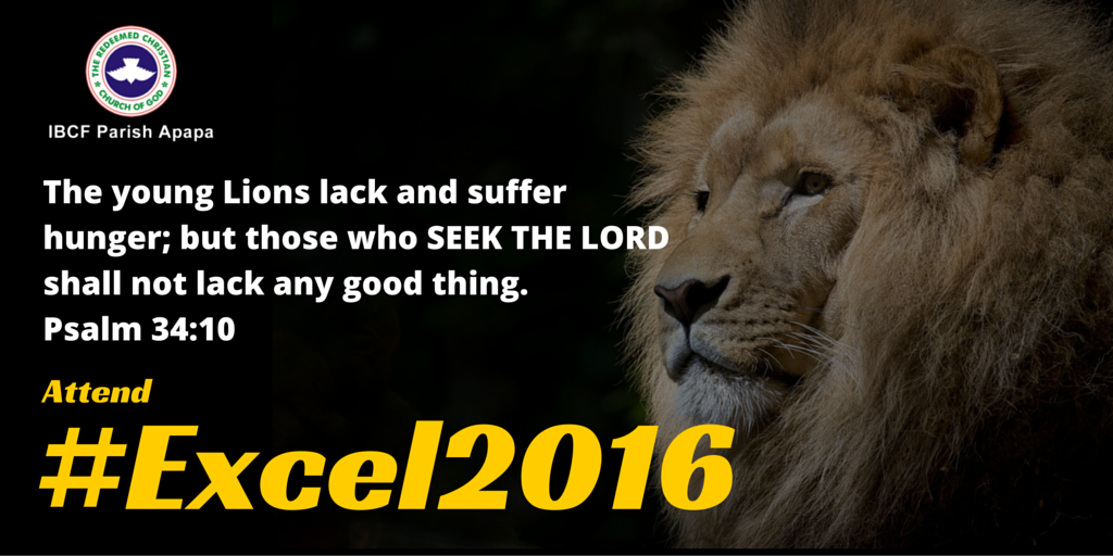 rccgibcfapapa's tweet photo. Let's #GoExcel. Attend #Excel2016.
See Event Details: https://t.co/A9Y9kBu0Sd 
Kindly RETWEET.
@rccgapapafamily https://t.co/ALjkqRdJoA