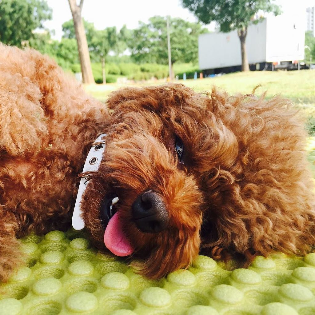 smtown_indo's tweet photo. [Key IG] bumkeyk :  https://t.co/FjnYoeV9YV https://t.co/KpAVkD7rUX https://t.co/1E4gC32QTL