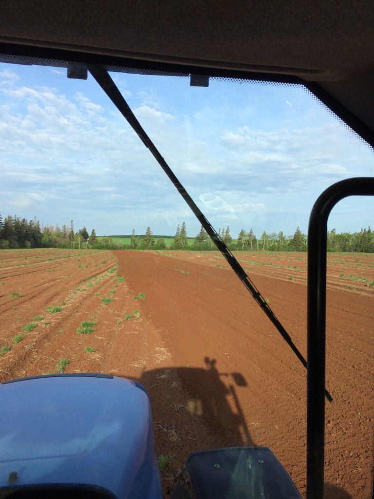 RandyFischer01's tweet image. Ground works up really nice after much needed rain #softsoil #crop2017 #thxboomer