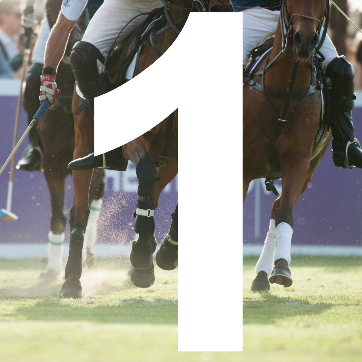 PolointhePark's tweet photo. It's tomorrow! Are you ready for #polointhepark 2016? Get your last minute Friday tickets: https://t.co/fOM7ypFvEl https://t.co/KO8GV1hHzL