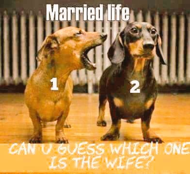 Fireflies208's tweet photo. Lol so true. I'm a girl and can admit it https://t.co/z4mrE6WoCb