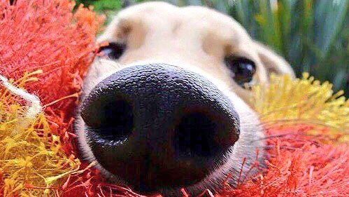 There you are ❤️