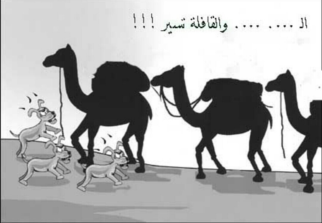 motaktek's tweet photo. @alsherafmajed @tsamem @f97had @aaa7AAW  كلاب تنبح والقافله تسير امثالكم يا حمير يا لقطاء يا عيال المتعه والزنا https://t.co/2t5s7ger7g