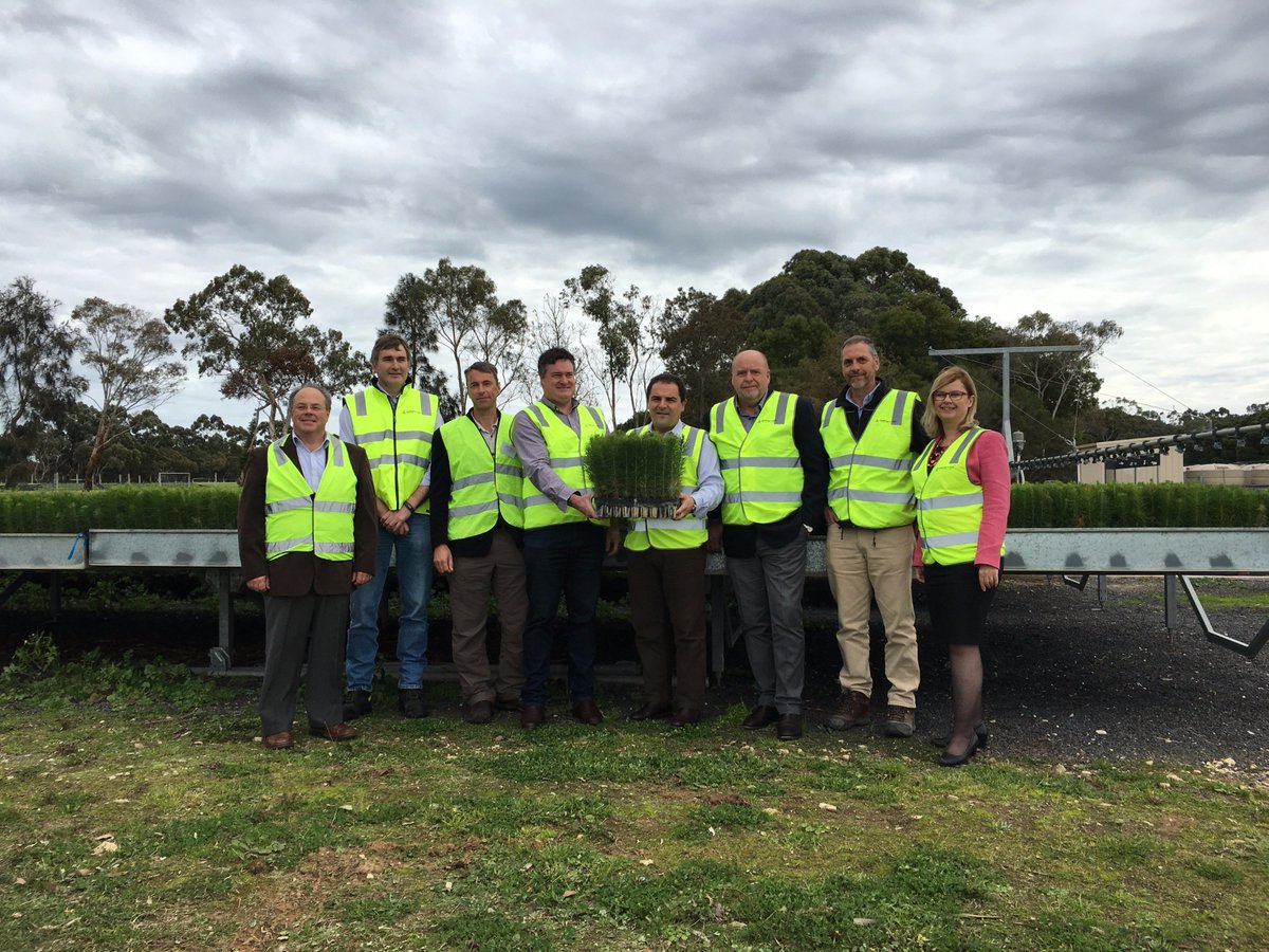 Tony Pasin MP with forest industry representatives announcing the forestry R&D regional hub at Mt Gambier.