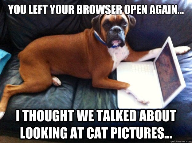 Boxer Lovers (@boxersnation) on Twitter photo 