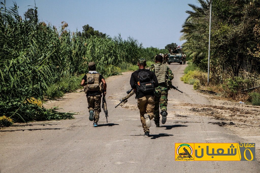 teamsmediawar's tweet photo. #الحشد_الشعبي 🇮🇶

#صور من #عمليات_15_شعبان

#اقتحام_الفلوجة
#الفلوجة_توحدنا
#هلاك_الخلافة
#Iraq_Fallujah https://t.co/q4keSBv9Jw