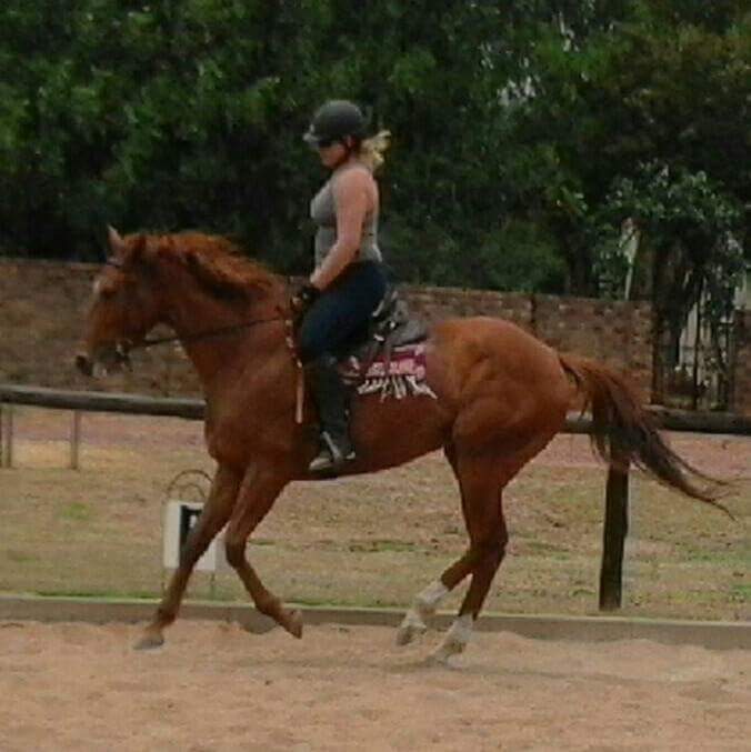 ReniceDeGroot's tweet photo. Today ive taking a seat back and appreciated my #OTTB they have been my rocks when everthing was crumbling. https://t.co/NNTJnFqfBC