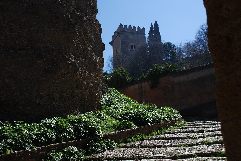 granadaturismo's tweet photo. ¡#BuenosDias #Granada! Siempre es un placer empezar junio subiendo a la #Alhambra.

#GranadaEsMotivo https://t.co/2smIIuL3R9
