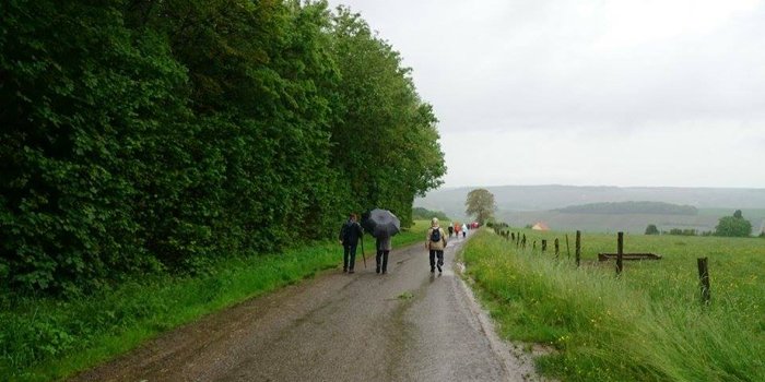 Fondation Avec tweet media