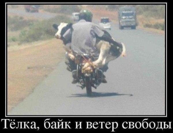 Лида Гусева (@lidaguseva) on Twitter photo 