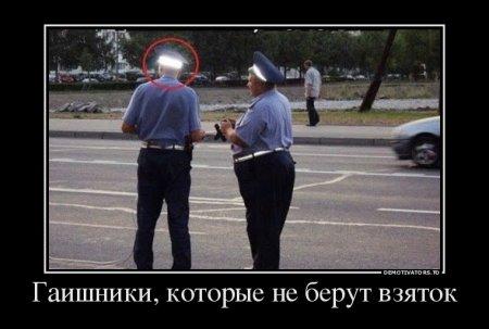 Ната Климова (@natklimov) on Twitter photo 