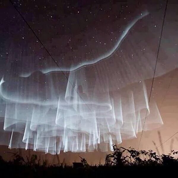 배려

깊이 사랑하면. 상대의 허물을 들추지 않고 덮어 줍니다.

그래서 숨을 쉬고 웃을 수 있습니다.

아울러 깨어질 수 밖에 없는 관계가 이어질 뿐 아니라 

더욱더 깊어 집니다.