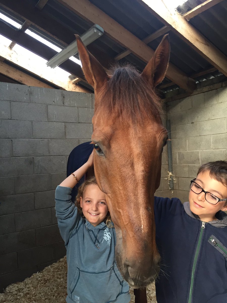 LittlejohnEK's tweet photo. Mini Levetts helping settle everyone in @Tatts2016 https://t.co/DHB7Sxy3Yj