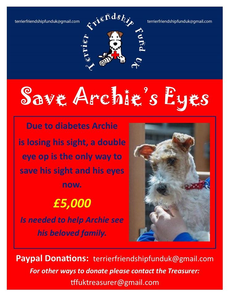 Babylou73Karen's tweet photo. #helparchiesee #TFF_UK Please help this little guy. See our FB Group Terrier Friendship Fund https://t.co/MTlZFMzkDF