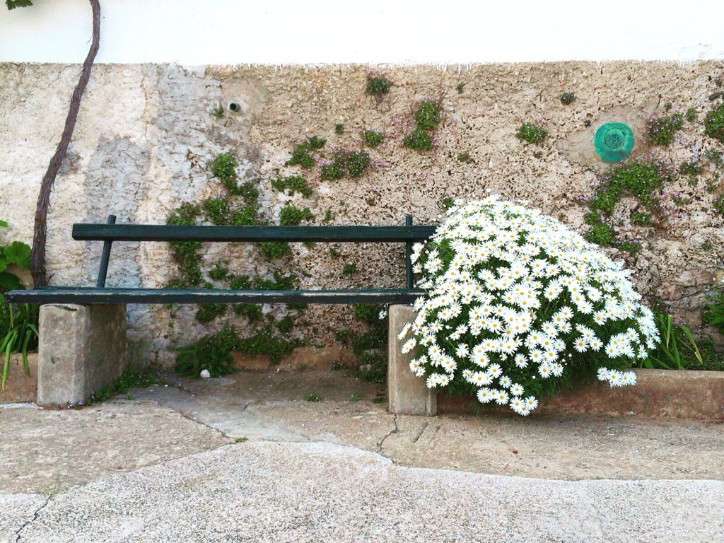 The perfect spot 🌺 croatiaguru1@gmail.com 👈📩 #islandlife #summer2016 #travel #Croatia