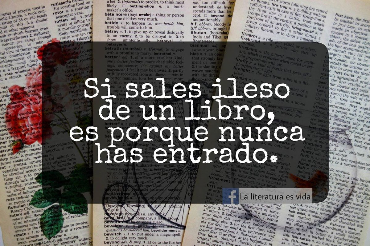 estefifefi's tweet photo. Nada más que añadir. https://t.co/pgnsHh5tsp