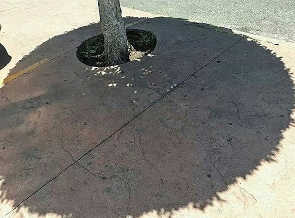 Multiverso tweet media