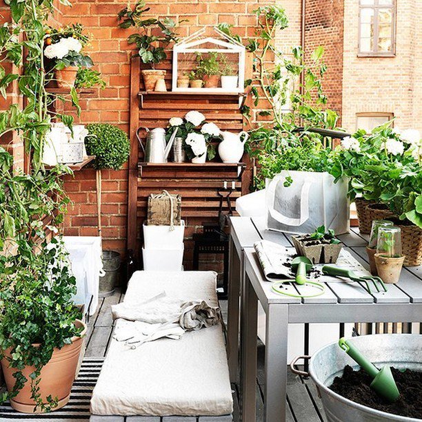 Voici ce qu'on appelle maximiser l'aménagement de son balcon 🌵🌿
#muramur #mam #outdooring #outdoors #terrace #plant…