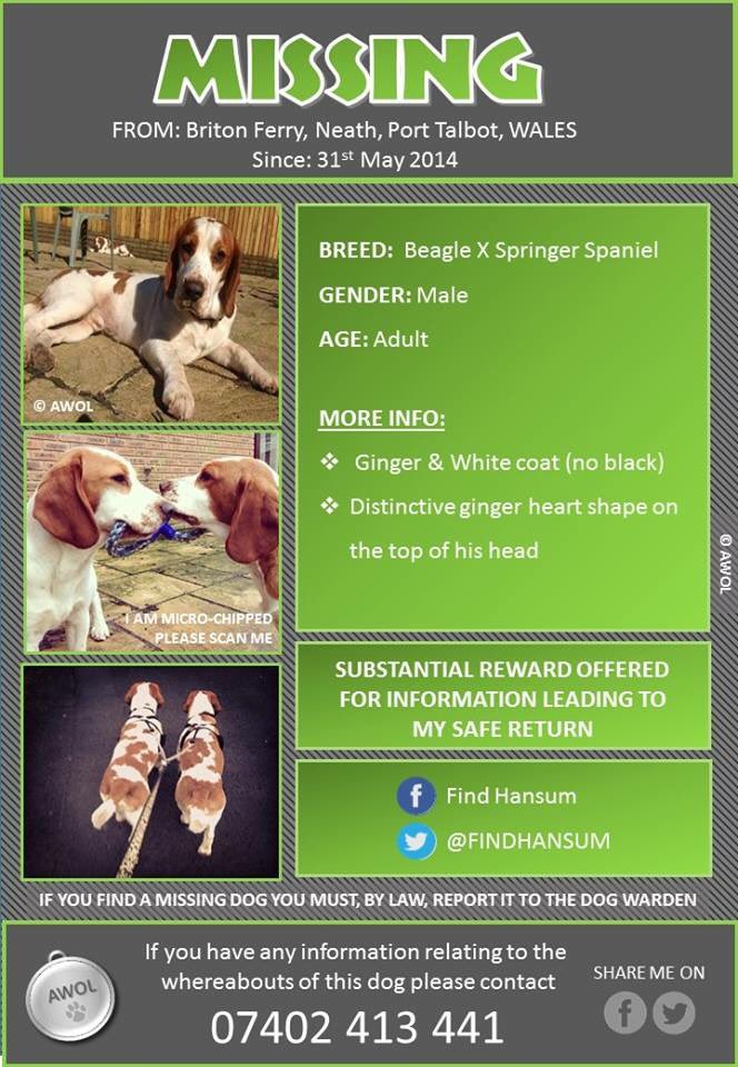 LostboxUK's tweet image. RT @LisaLisaw1: Please RT #FindHansum #MissingTwoYears #BritonFerry #Wales @HelpFindHansum  @LostboxUK TY