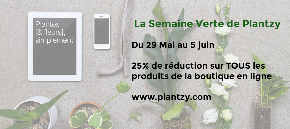 Cette semaine 25% de réduction sur tous nos produits! #durêve #plantzy plantzy.com