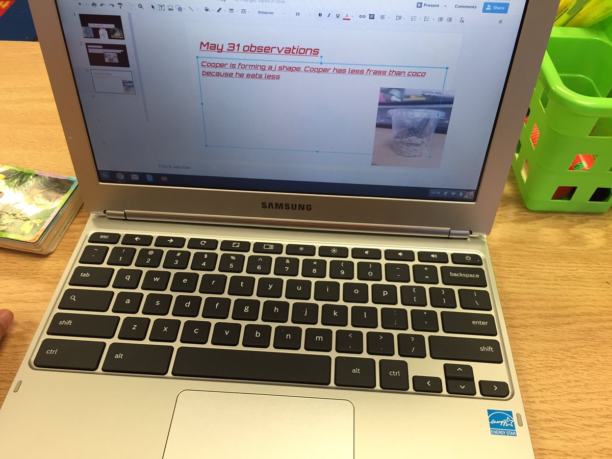 MissStickley's tweet photo. The Grade 2s are using Google Slides to keep track of their caterpillar observations #Grade2Scientists #sccdsb https://t.co/UxYGW4gjsf