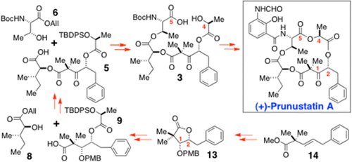 Synthesis of (+)-prunustatin A by Hale lab in OL <a href="/JOC_OL/">J Org Chem/Org Lett</a> pubs.acs.org/doi/abs/10.102… #TotalSynthesis