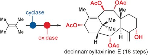 Synthesis of highly oxidized taxanes by <a href="/BaranLabReads/">Baran Lab</a> in <a href="/angew_chem/">Angewandte Chemie</a> onlinelibrary.wiley.com/doi/10.1002/an… #TotalSynthesis