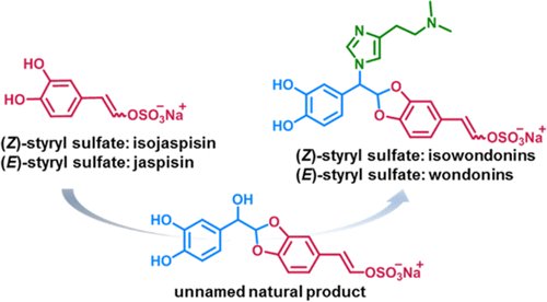 Syntheses of isowondonins by Yu et al. in OL <a href="/JOC_OL/">J Org Chem/Org Lett</a> pubs.acs.org/doi/abs/10.102… #TotalSynthesis