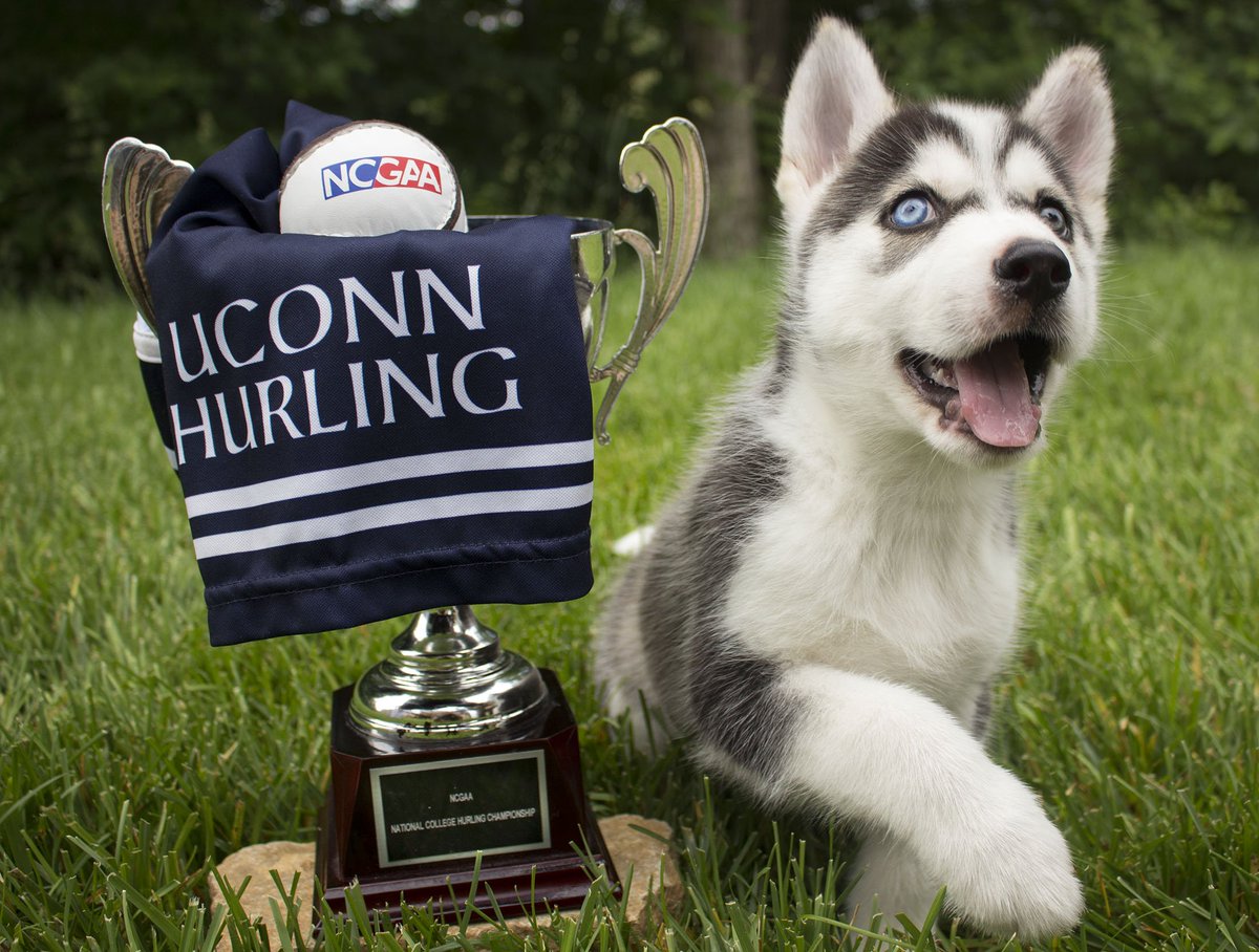 Kilo is helping us celebrate our <a href="/NCGAA/">NCGAA</a> National Championship win! Feeling the Husky Pride!
#uconn #fuilghorm #husky