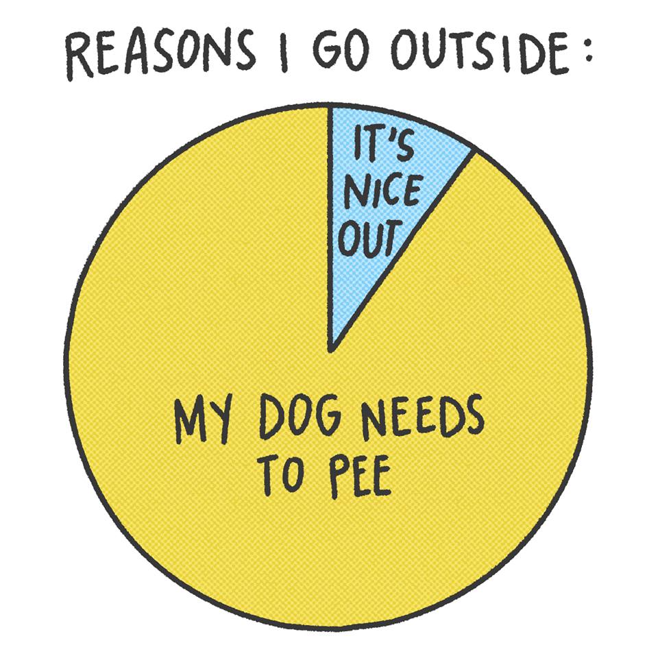 BuzzFeed Comics tweet media