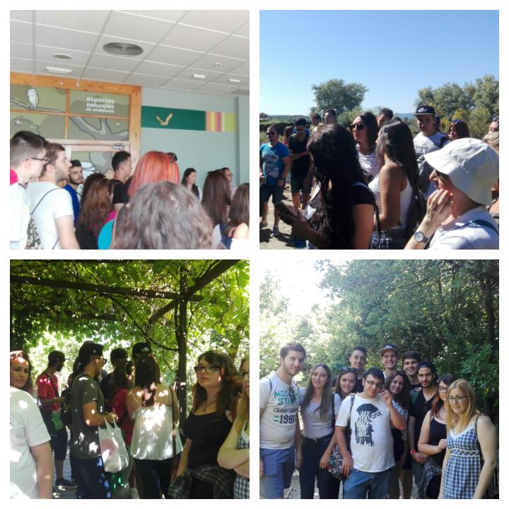 IES LAS SALINAS tweet media