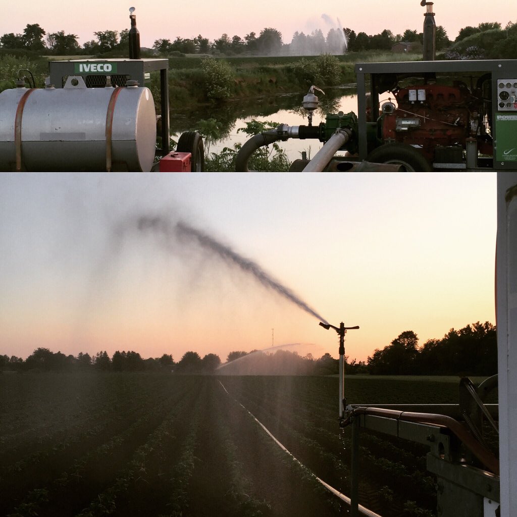 BlizmanProduce's tweet photo. I guess I was a nice night to start #irragating #spudlife #makeitrain #Norfolk #plant16 #ontariopotatoes #Delhi https://t.co/94810ifjAn