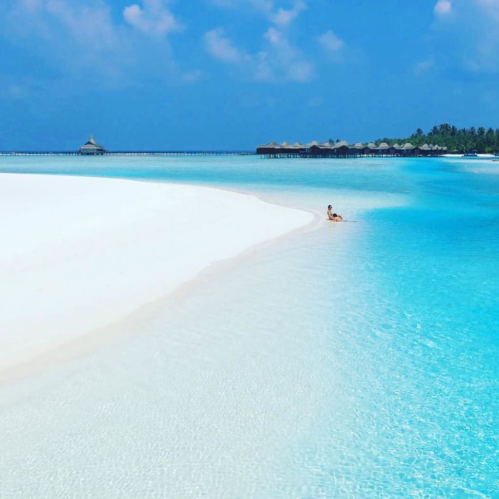 SuzA700's tweet photo. Beautiful Maldives ✨💙💙💙✨ Picture by ✨✨@travelforever✨✨ Good morning 😃😃😃 by wonderful_places https://t.co/oH6YaLVRQ7