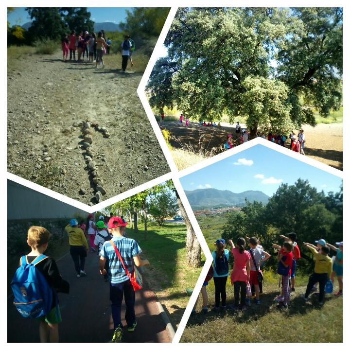 DeportesJun's tweet photo. Formidable experiencia la del senderismo del alumnado de 8-10 años en la #trekkingweek de Jun. El Jueves seguimos !! https://t.co/cvVWGOHYWN