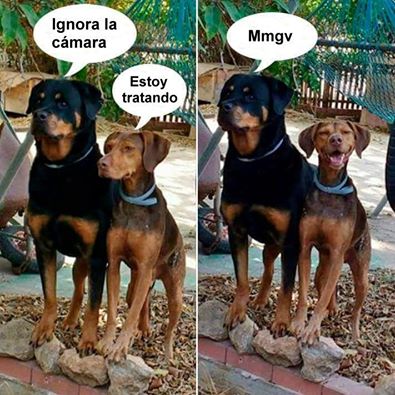 SiguesTeSigo's tweet image. No mires a la cámara por favor   #follow1x1