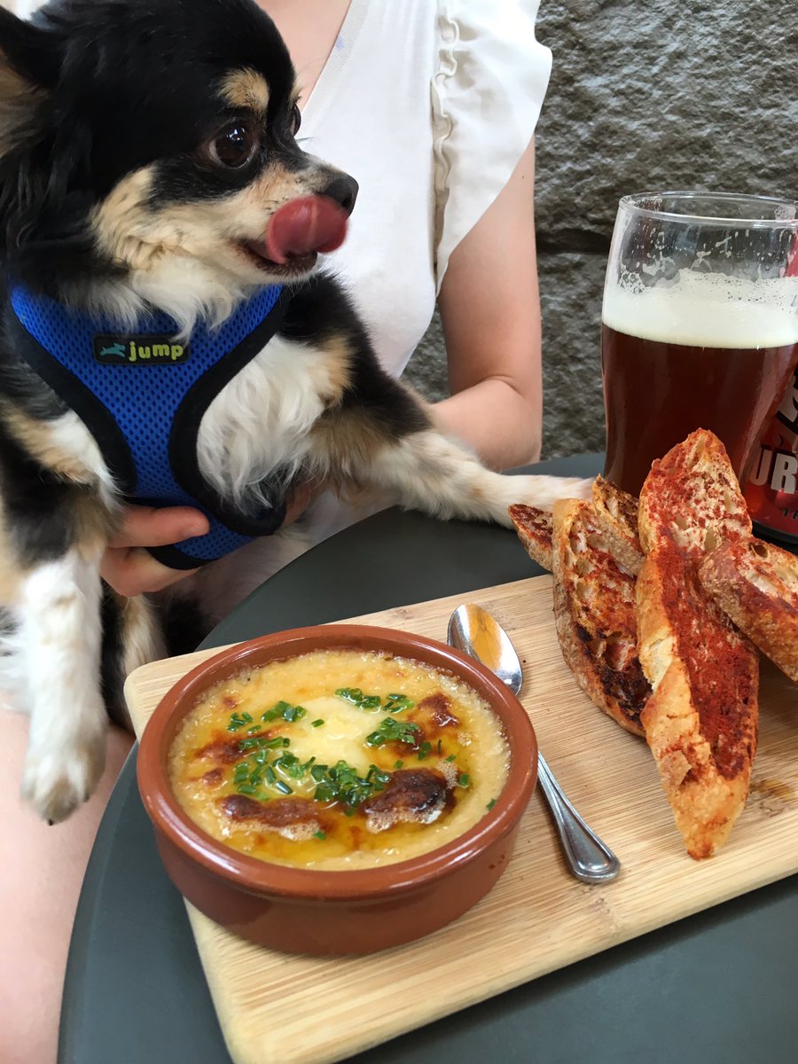 TriaPhilly's tweet photo. Here's Bean Dip (yes, that is his name) enjoying the scent of a Tria white bean dip. #dogsoftria #triaphilly https://t.co/NYWUt7I6uE