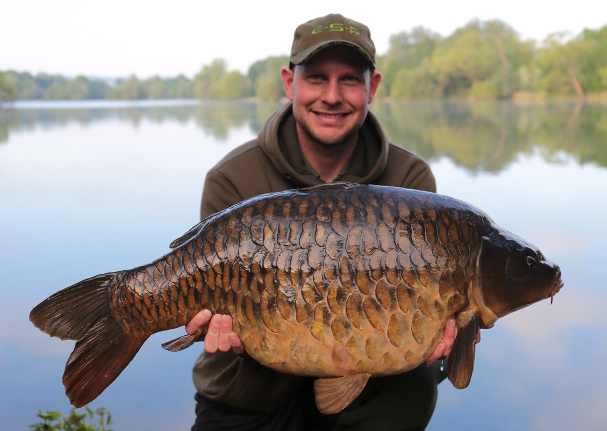 ESP Carpgear tweet media