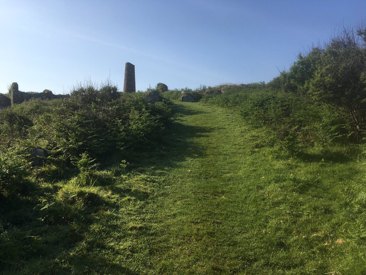 ljcequine's tweet photo. Tired but brown running legs after a top weekend running some of south west coast path #RunTagIt #runcornwall https://t.co/Pk9IChLYUE