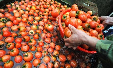 ATOimports's tweet photo. Asda's 'made in Italy' tomato puree hails from China https://t.co/fwLjS18G0R #business #food #ASDA https://t.co/4wfE7qRuAB