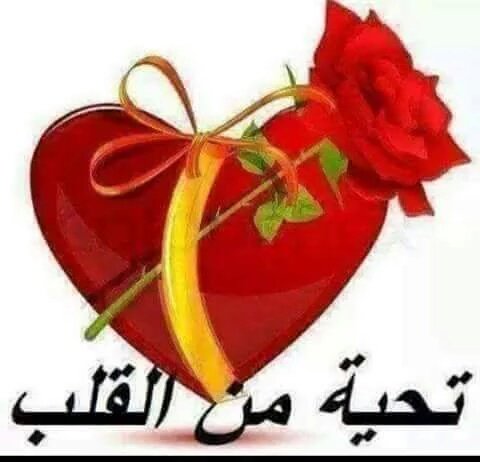 aa1245346435's tweet photo. @QNawal https://t.co/tFfWCm6keM