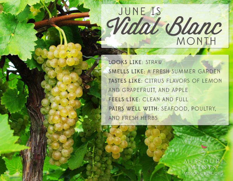 AugustaWinery's tweet photo. Did U see the Food &amp; Wine pairings on our last newsletter? How about the spotlight on Vidal? https://t.co/0b0kwWM7Rx https://t.co/YxpLcnDe3A