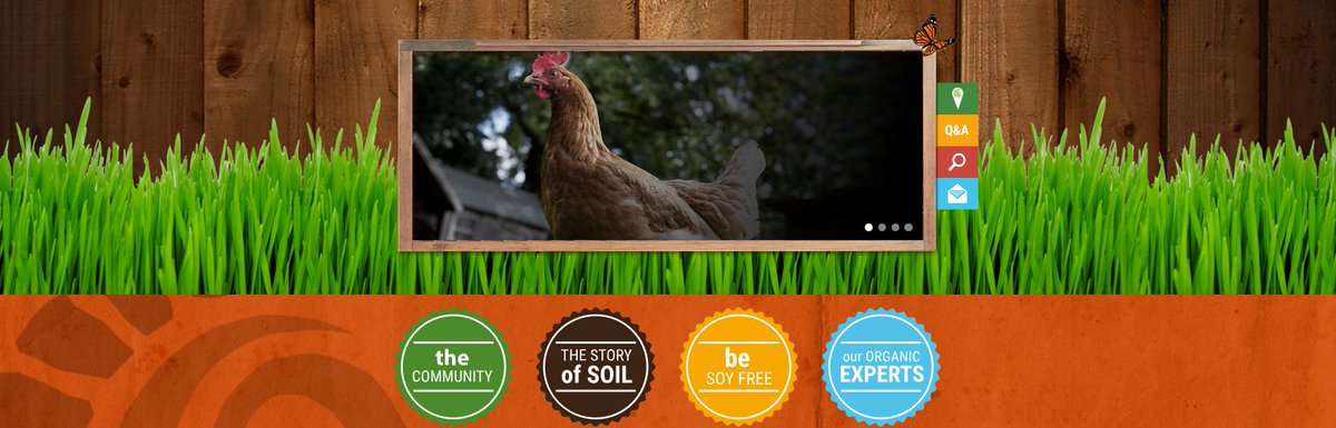 The Grain Loft carries organic chicken feed. Give your chickens the best health. Order here: grainloft.com/pages/animal-f…