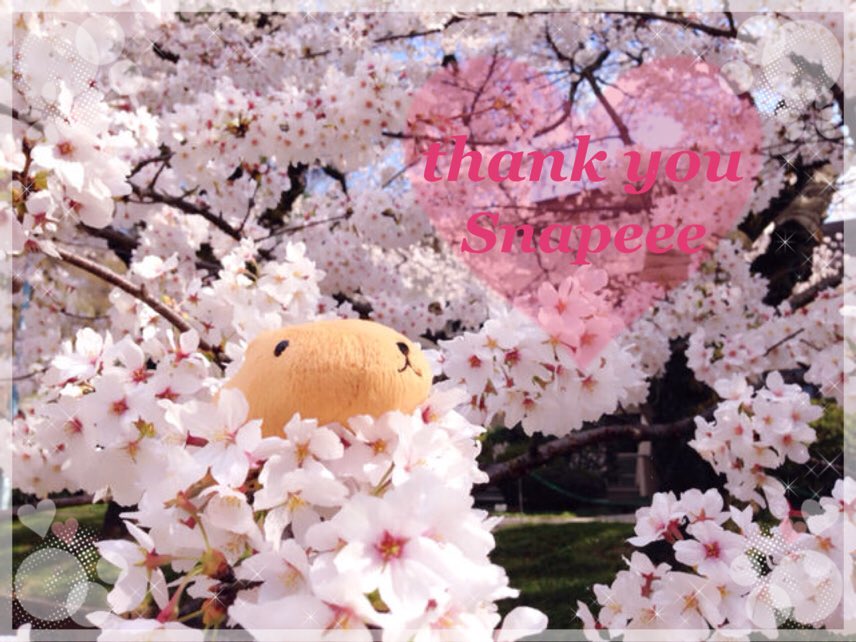 kazamarii's tweet photo. snapeee、ありがとう😭❤️✨
アプリ開始当初からずっと本当に本当に本当にお世話になりました😢
またいつか、、、帰ってきてね‼️
#snapeee https://t.co/Zo7fX7PX34