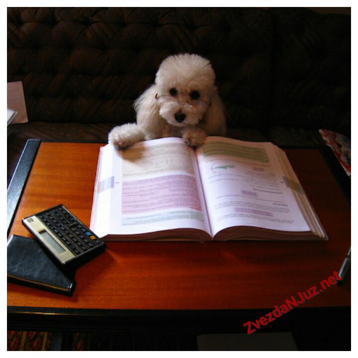 Kuva se novo saopštenje u predgrađu...