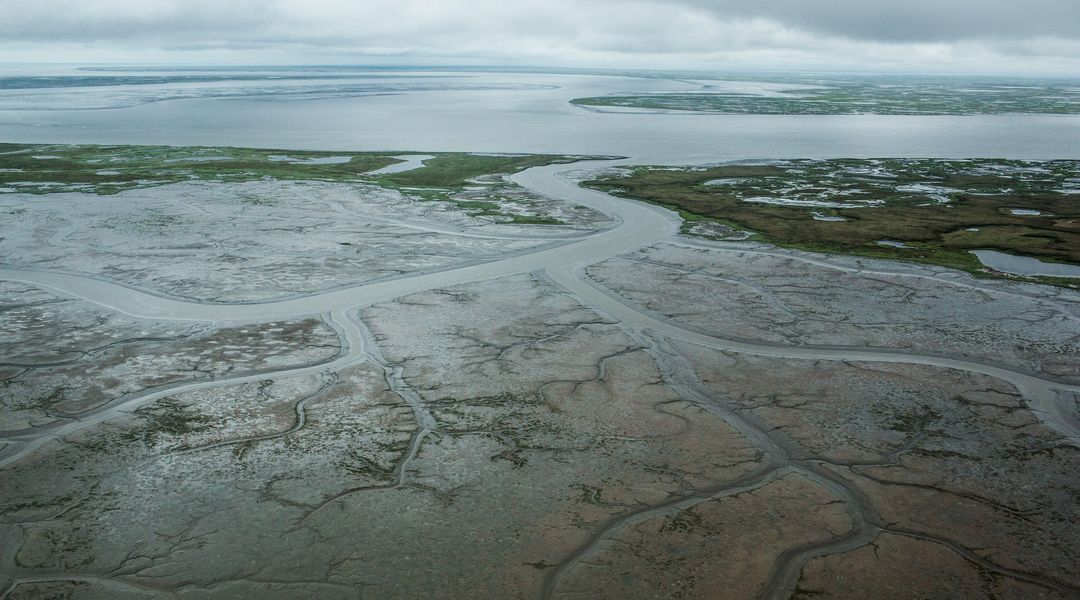 voxdotcom's tweet photo. BREAKING: Supreme Court rules against government, potentially weakening the Clean Water Act https://t.co/6nBhhl9ZXk https://t.co/TncfSwp6AH