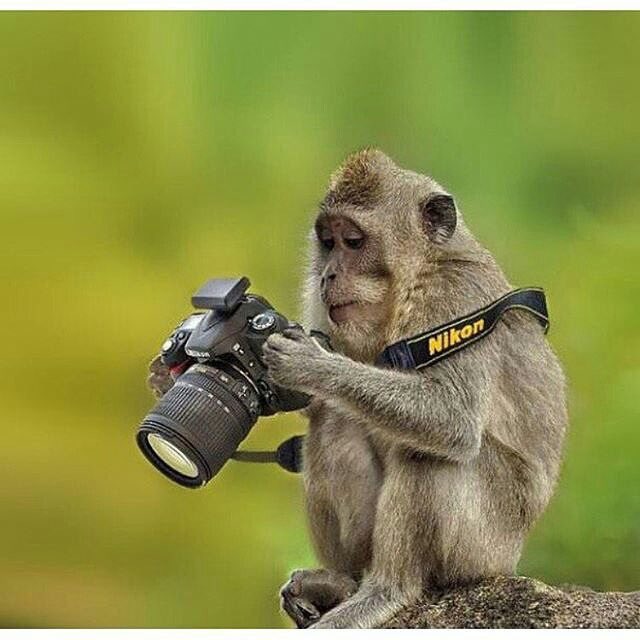HousepitalRec's tweet photo. Looking for new #edm #electro #progressive and #house music. Send unsigned tunes to: promos@housepital.nl 👌🎶 https://t.co/BC6SpWdW9T